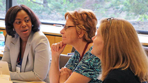 System Wise Leadership Institute