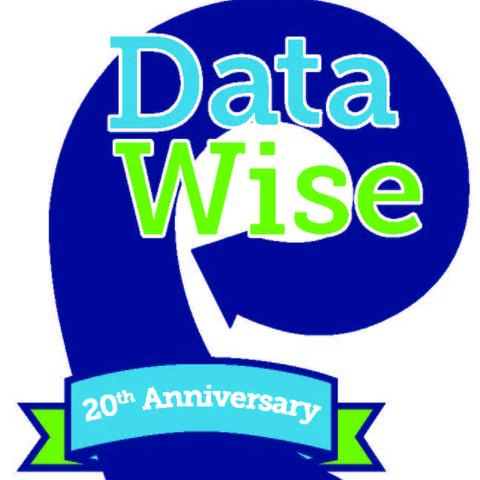 Data Wise 20th anniversary logo